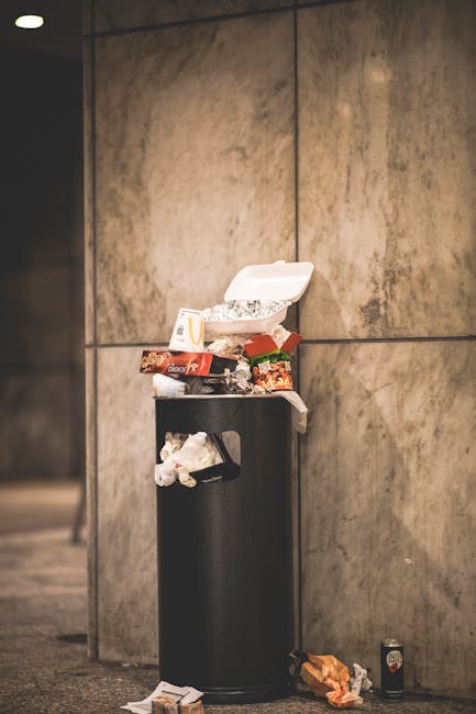 Brent Council rubbish disposal rules for Neasden homes